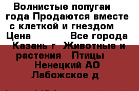 Волнистые попугаи, 2 года.Продаются вместе с клеткой и гнездом. › Цена ­ 2 800 - Все города, Казань г. Животные и растения » Птицы   . Ненецкий АО,Лабожское д.
